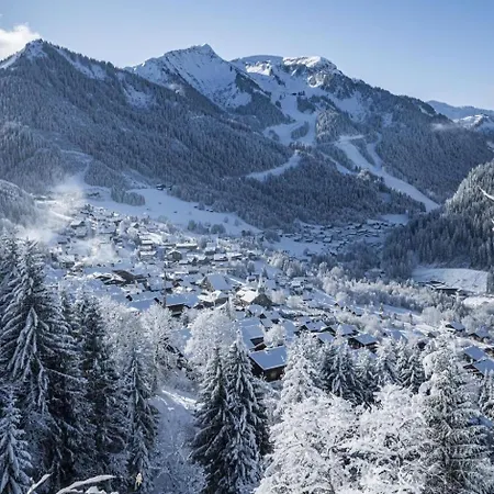 Moulin Ml174 Telecabine & Mountain 6 Pers * Châtel