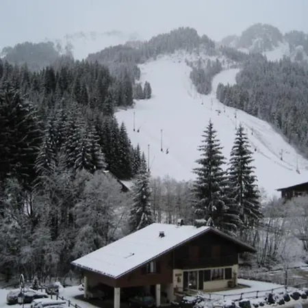 Moulin Ml174 Telecabine & Mountain 6 Pers * Châtel