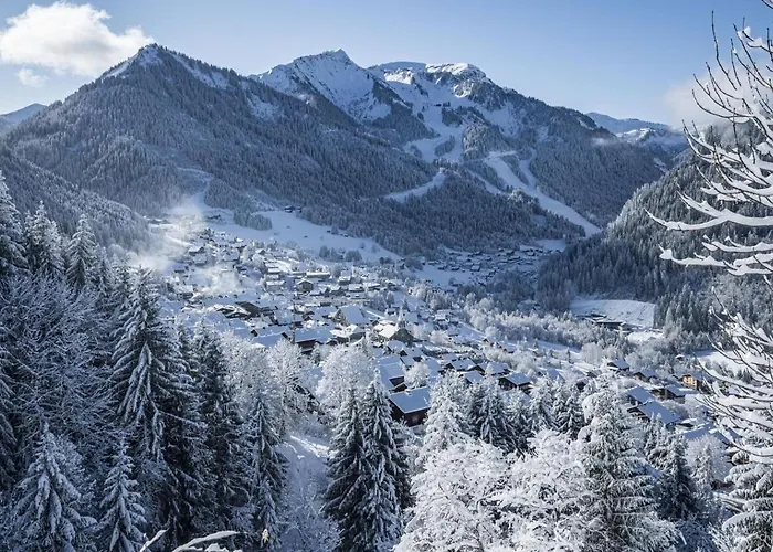 Moulin Ml174 Telecabine & Mountain 6 Pers * Chatel