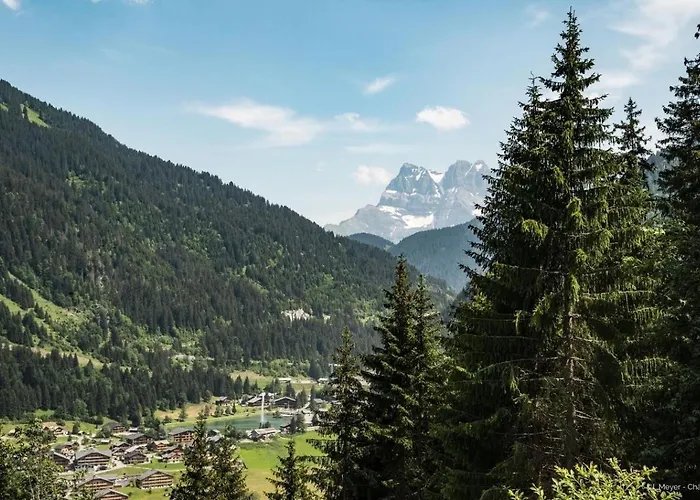 Moulin Ml174 Telecabine & Mountain 6 Pers Apartment *